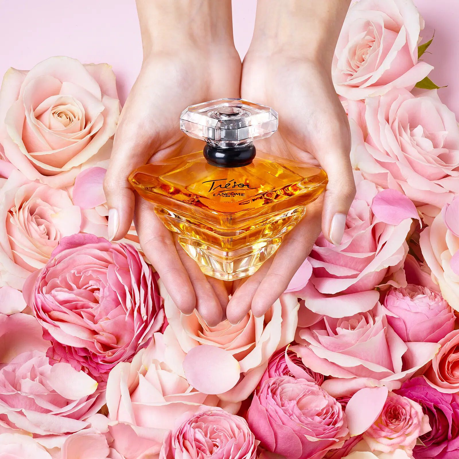 Lancome tresor notes store